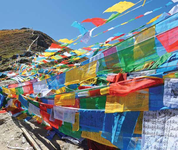 Stanford Travel/Study Frances C. Arrillaga Alumni Center 326 Galvez Street Stanford, CA 94305-6105 (650) 725-1093 TREASURES OF BHUTAN, NEPAL AND TIBET October 1 to 16, 2017 Nonprofit Org. U.S. Postage PAID Stanford Alumni Association This was truly an incomparable Stanford Travel experience one of the best trips we have ever been lucky enough to have taken.