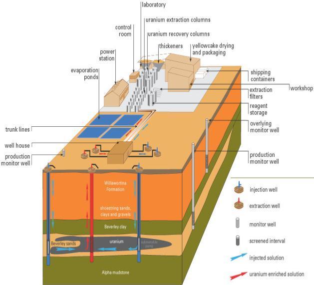 How Our In-situ Recovery (ISR) Mine Works 7 The ISR Mining Process 1) Groundwater pumped to surface (at start-up) 2) Small amount of acid and oxidant