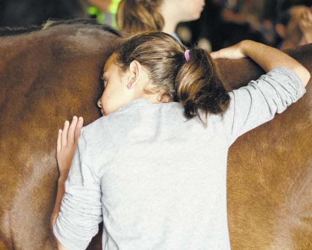 Julia Godfrey, 9, makes friends with a horse