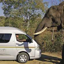 Visit magnificent sites that include the Three Rondavels, Gods Window, Bourke s Luck Potholes, the greater Sabie area and Pilgrims Rest.