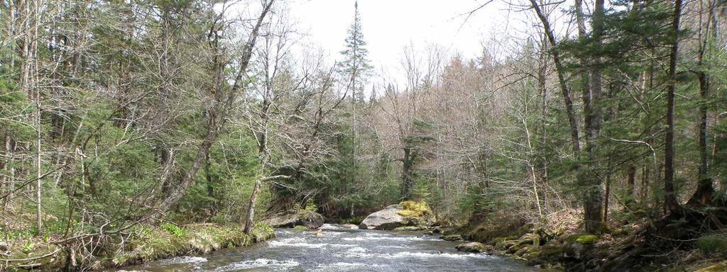 NORTH LAMOILLE FOREST With long frontage on the wild and free-flowing North Branch of