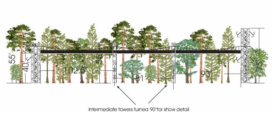 The canopy walkway will be situated in the bottomland forest of the main channel of Brooker Creek. The total length will be approximately 300 feet with the walkway platform at a height of 40 feet.