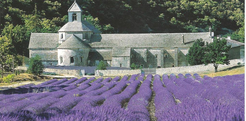 KAY AT LEISURE WORLD TRAVEL LADIES TOUR COUNTRY ROADS OF FRANCE & CRUISING NORMANDY DEPARTING 17 JULY 2015 Kay at