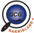 APPENDIX 1, BAKRIELAND GOOD CORPORATE GOVERNANCE As a public company, Bakrieland is aware the importance of Good Corporate Governance in frame of increasing performance and accountability of