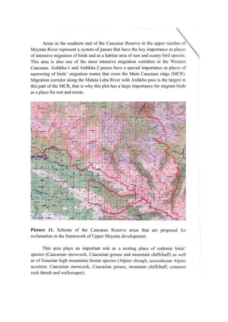28 Areas in the southem end of the Caucasus Reserve in the upper reaches of Mzymta River represent a system of passes that have the key importance as places of intensive migration o f birds and as a