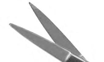 Pointed Tips, 24mm Straight Blades, 100mm Long.