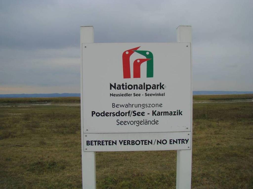 board makes all strategic decisions and appoints the Director of the National Park as well as the scientific director.