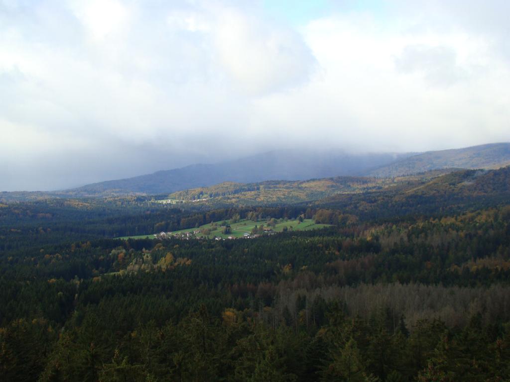 Bavarian Forest National Park (www.nationalpark-bayerischer-wald.