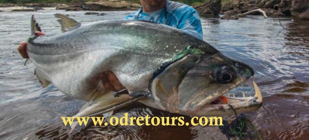 IMPORTANT WARNING: Our Tour Operators Agencies Odretours International and the Club Internacional de Pesca