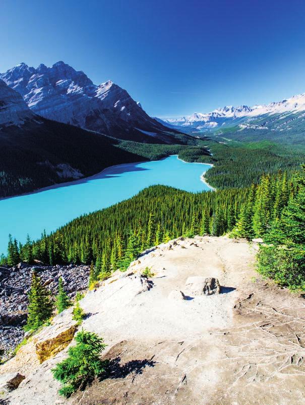 0 A$85 per day days Wonders of the Canadian Rockies Memorable Highlights Banff View stunning mountains and falls on your sightseeing tour Icefields Parkway Sightseeing includes Peyto Lake, the
