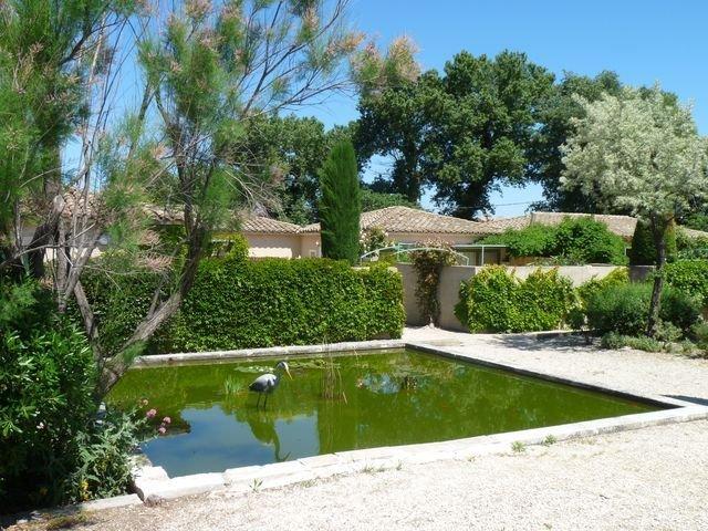 PROVENCAL VEGETATION, WITH SWIMMING