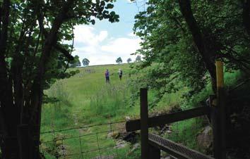 The route leaves the woodland over another stile into a field. When Derek and the crew filmed here in mid-summer, this was a wonderful hay meadow full of wild flowers, butterflies and other insects.