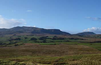 6 Heathland surrounding Moel y Garnedd Known as Gwastadros or Stadros by locals, which means level heathland, this is perfect habitat for birds such as skylark, curlew and Northern wheatear.