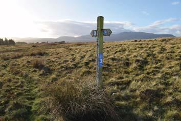 About 100 yards from Ty n Rhos, turn right and head for an isolated marker post which, on reaching it, has a blue Snowdonia National Park Bwrlwm Eryri #3 sign on it.