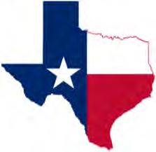 LOCAL GOVERNMENT CORPORATION Municipal or County Corporate Entity Chapter 431 of the Texas Transportation Code sets specific guidelines for the creation and operation of LGCs within the State of