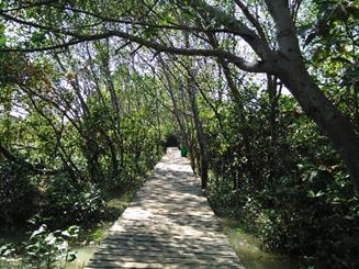 Result and Discussions Ecotourism Mangrove is located in Wonorejo subdistrict Rungkut which on the east side of Surabaya City.