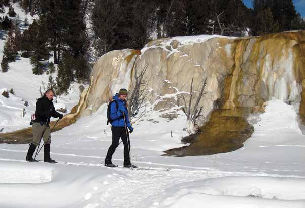 Ski and snowshoe trails Yellowstone offers a variety of enjoyable and challenging trails for skiing and snowshoeing throughout the park.