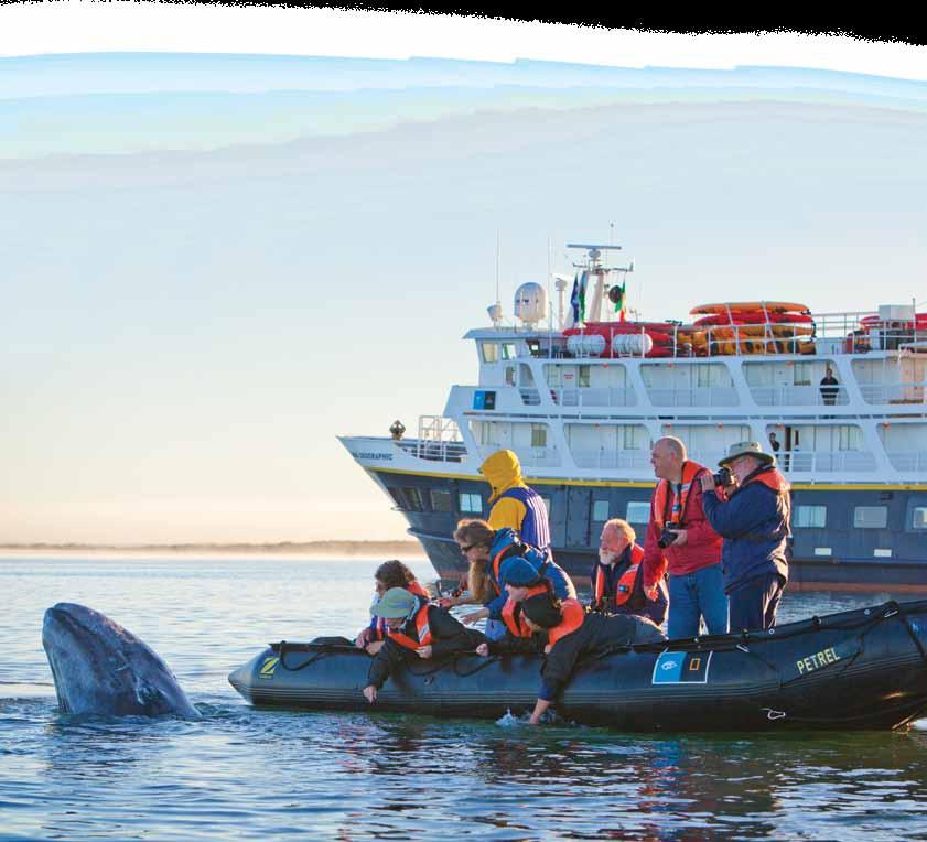 BAJA CALIFORNIA AND THE SEA OF CORTEZ: AMONG THE GREAT WHALES 8 DAYS/7 NIGHTS Aboard National Geographic sea bird PRICES FROM: $5,990 to $10,340 (See page 15 for complete prices.