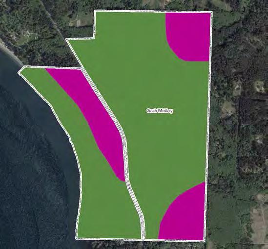 South Whidbey Land Classification 1993 land classification Natural Forest Area (green) Recreation