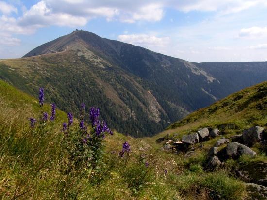 SNĚŽKA HIKE September 23 Do you love nature and enjoy challenging hikes?