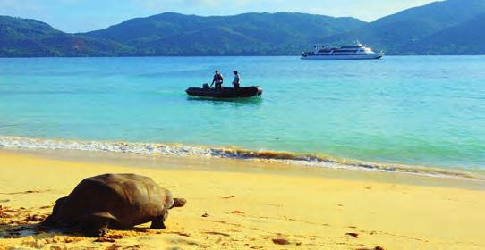 MINI CRUISES IN THE GARDEN OF EDEN 4 - DAY ITINERARY Pegasus and Seychelles turtle Playful crab in the Seychelles North Mamele Moyenne Anse Lazio Baie St.