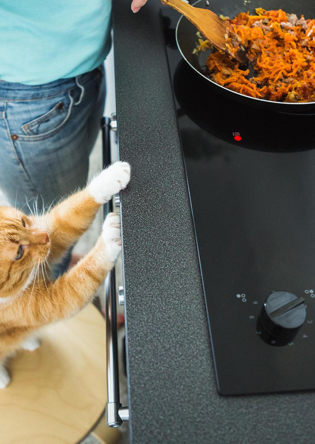DOMAČA KUHINJA ZA MAČKO Zakaj kuhati za vašo mačko? Prevladujoči razlog je to, da nikoli zagotovo ne veste, kakšna je industrijsko pripravljena hrana.