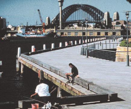 Public access to the entire foreshore was a planning principle of the 1992 Sydney Regional Environmental Plan for Ultimo + Pyrmont.