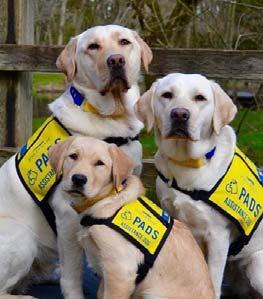 0773 All donations will support Pacific Assistance Dogs Society and