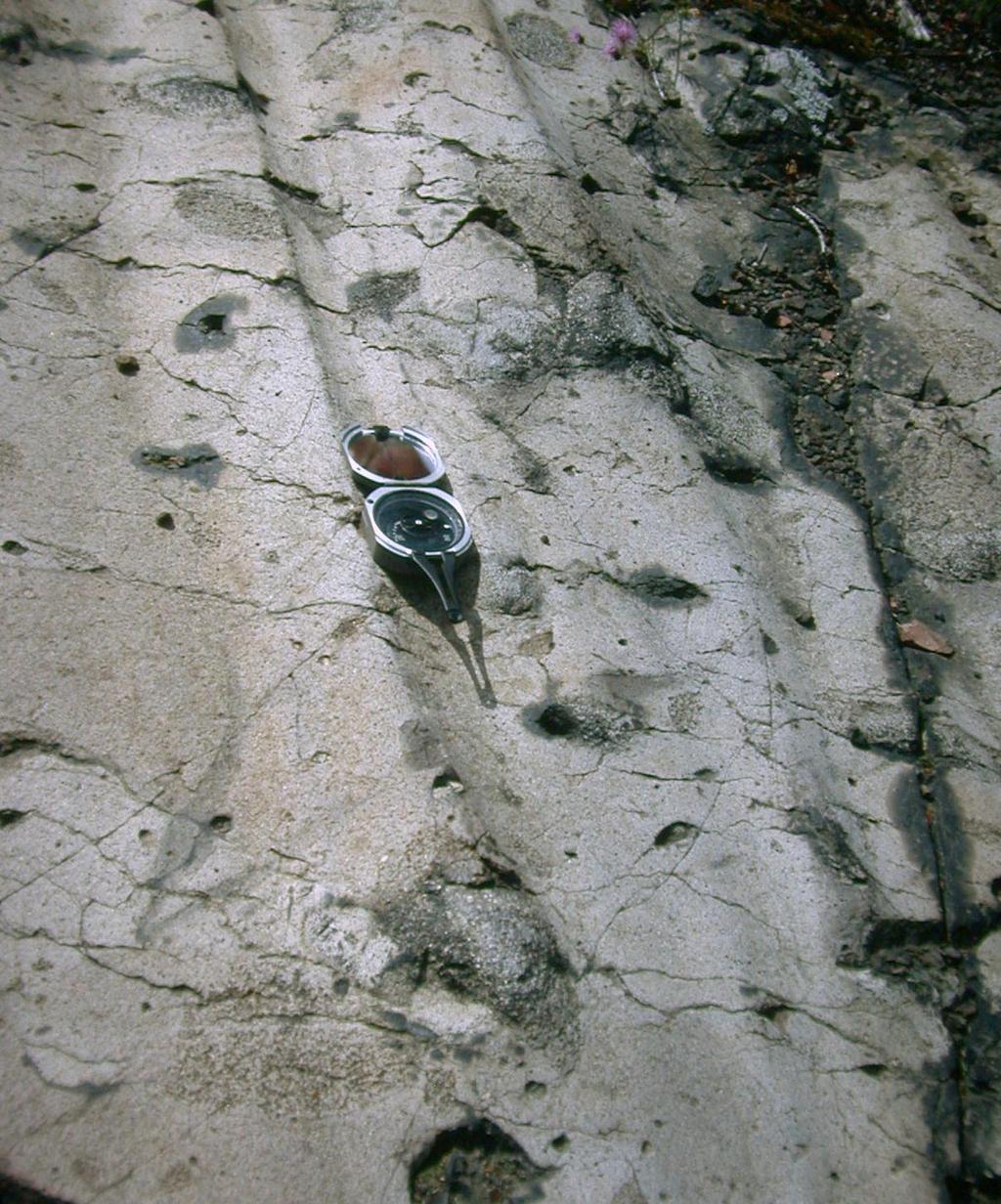 Glacial striations (grooves) in limestone bedrock,
