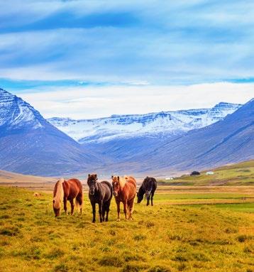 Around Iceland This self-drive favourite explores Iceland s rich natural treasures, including national parks, beautiful waterfalls, striking glaciers, magnificent volcanoes and hot springs.