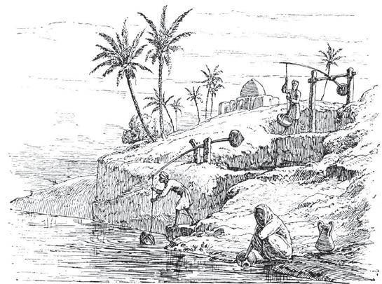 Land, People, and Religion Irrigation and Agriculture Flooding of the Nile River was so efficient, not only at supplying rich soil but also in washing out the salts deposited over time, that little