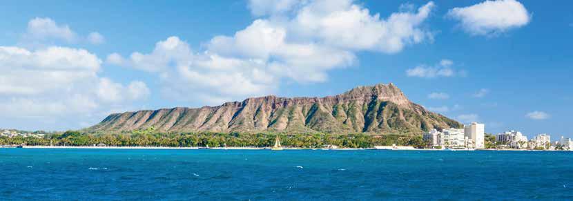 ALAMO CAR RENTAL TERMS & CONDITIONS Give your self the freedom and flexibility to explore the beauty of the Hawaiian Islands with Alamo Car Rental.