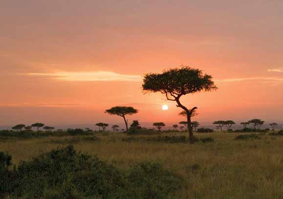 AFRICA Share a Scenic Sundowner, watching sunset in the timeless Masai Mara DAY 5: Ngorongoro Crater Spot the Tree-Climbing Lions Set out this morning on a game drive in Lake Manyara in search of