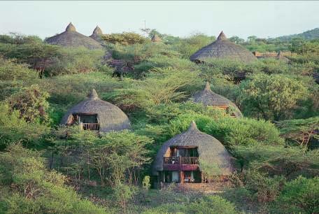 The main game drive areas in the Serengeti are the Seronera Valley, the Western Corridor, and northern Serengeti.