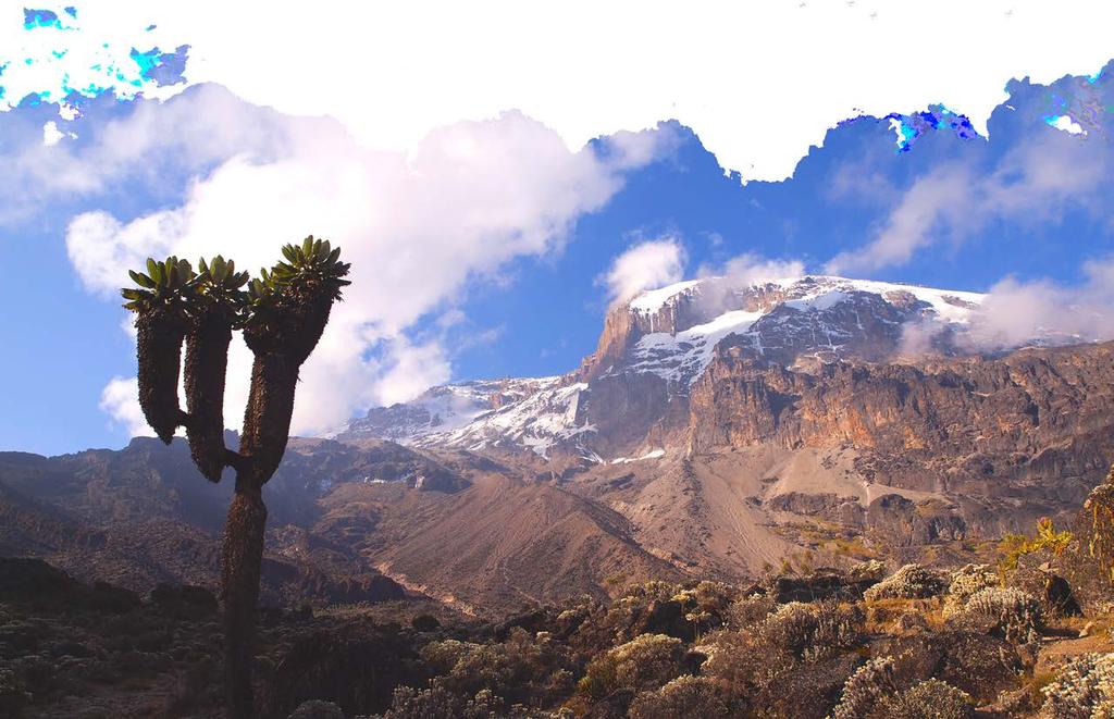 At 19,341 feet high, Mount Kilimanjaro is the tallest freestanding mountain in the world and one of the Seven Summits. Climbing Kilimanjaro is a demanding, challenging feat.