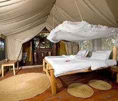 TANZANIAN SAFARIS TENTED CAMPS Tented camps are permanent or semi-permanent camps sited in areas of excellent game viewing.