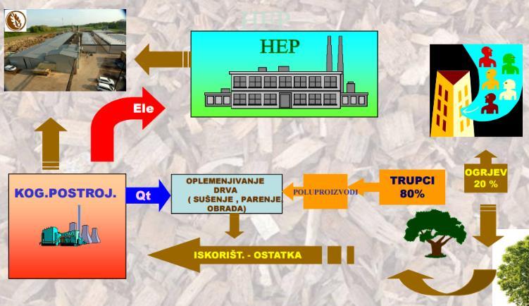 Shematski prikaz jednog primjera postrojenja biomase (Izvor: PHB) Premda je troškovno najpovoljniji način korištenje biomase u proizvodnji električne energije suspaljivanje u ugljenom loženim
