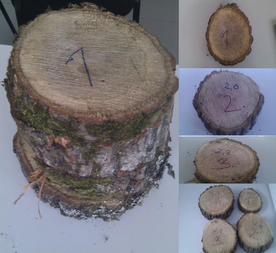 3.2.3. Metode laboratorijskog rada Određivanje vlage kolutova višemetričnog drva Ispitivanje se provelo pomoću vage KERN, 440-49A, i