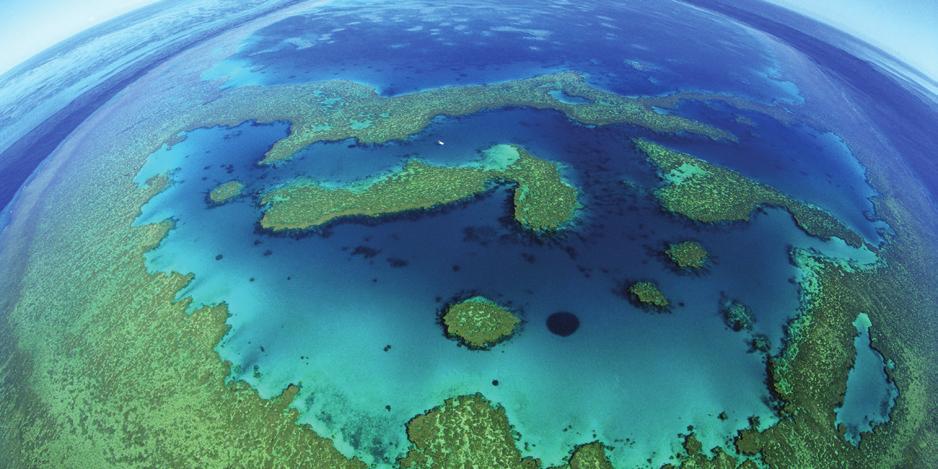 TABLE OF CONTENTS EXECUTIVE SUMMARY 3 1 Context 5 2 Status of Great Barrier Reef World Heritage Area 6 3 Scorecard on implementation of World Heritage Committee and mission recommendations 8 3.