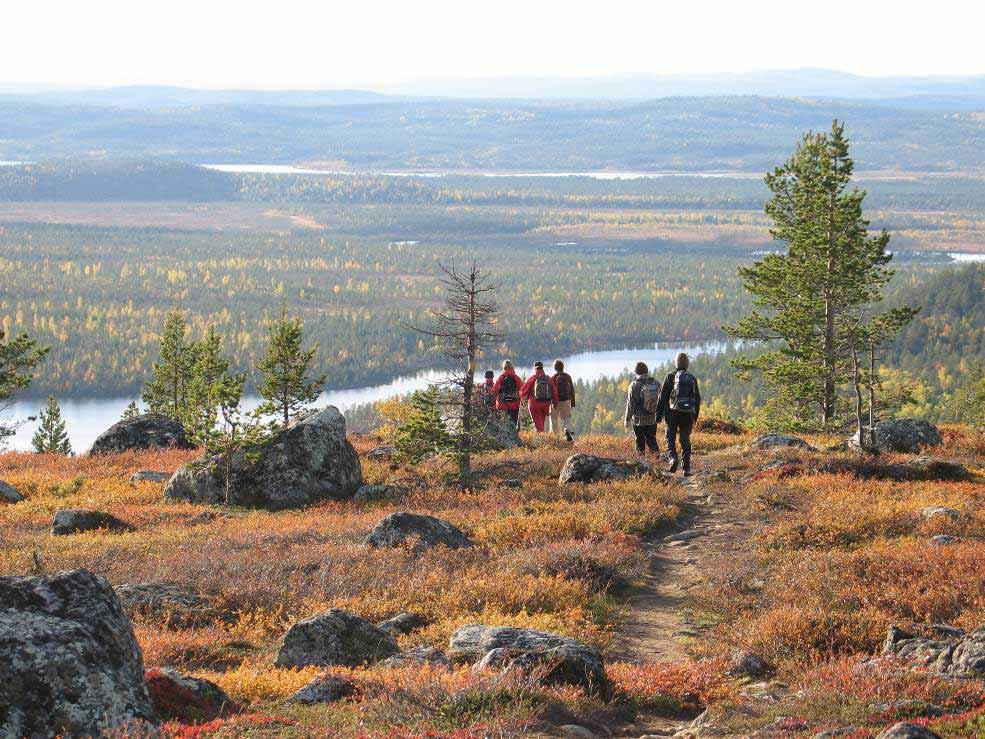 Regional strategy for tourism in Lapland: