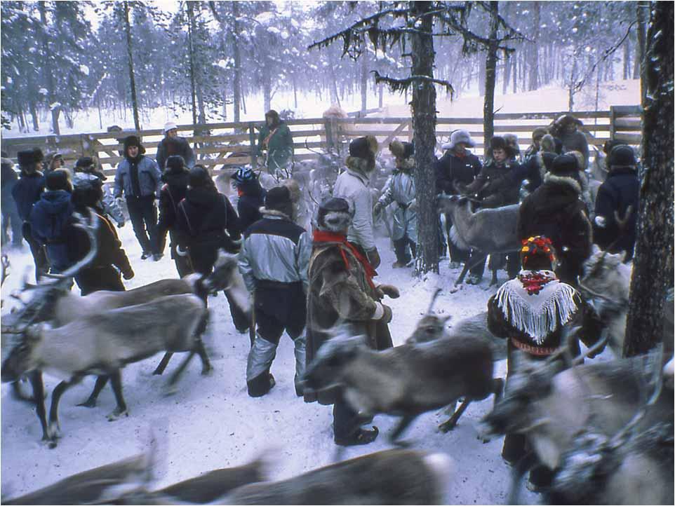 Wilderness areas in Finland The Act on the Protection of Wilderness Reserves in 1991 The goals of
