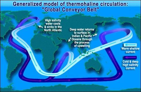 južnoj hemisferi na tok utječe toplija i manje slana voda te zbog utjecaja te manje guste vode tok izvire na površinu oceana i dalje cirkulira do novog hladnog utjecaja na sjeveru.