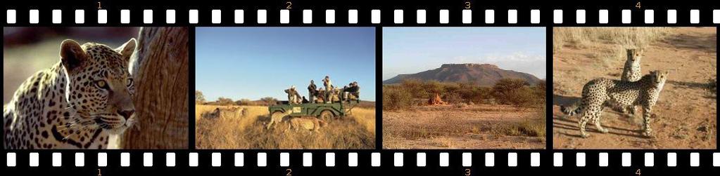 The African Embassy Safaris_Go Namibia - Hopper_Okonjima West of the Waterberg Plateau, the vast plains are occasionally broken by the remnants of ancient Sandstone outcrops, which once covered large