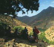 the trip On this exciting new adventure with Wild Women On Top we will follow trails through traditional villages to alpine pastures set beneath the impressive backdrop of the High Atlas.
