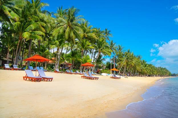 Sights To See and Pet-Friendly Lodging on Koh Samui Island Just south of Thailand, the island of Koh Samui is a hidden, tropical paradise.