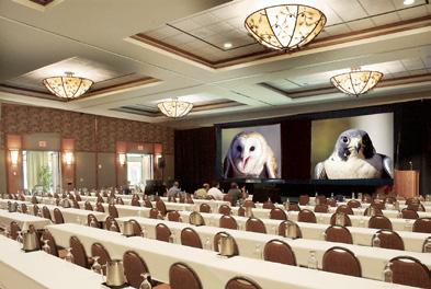 THE LODGE CONFERENCE CENTER Executive Conference Room Prefunction Area The Lodge and Spa Conference Center comprises 54,000 square feet of inspiring space including two ballrooms, breakout rooms,