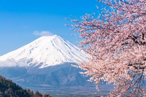 Day 4: Tokyo Mount Fuji Hakone Journey 2 hours through the foothills of the iconic Mount Fuji to the mountain s base.