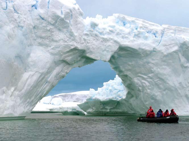 an unforgettable voyage led by seasoned expedition leaders and naturalists Our voyage features a team of experienced expedition staff and lecturers expert naturalists and scientists who know