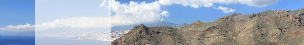 Canary Island Tenerife is certainly one of the last remaining