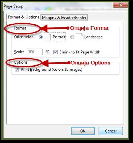 Опција Format&Options Format&Options се састоји из 2 дела, која су и видљиво одвојена.